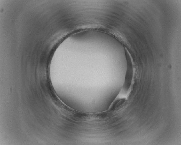 X0000073900348200609082153