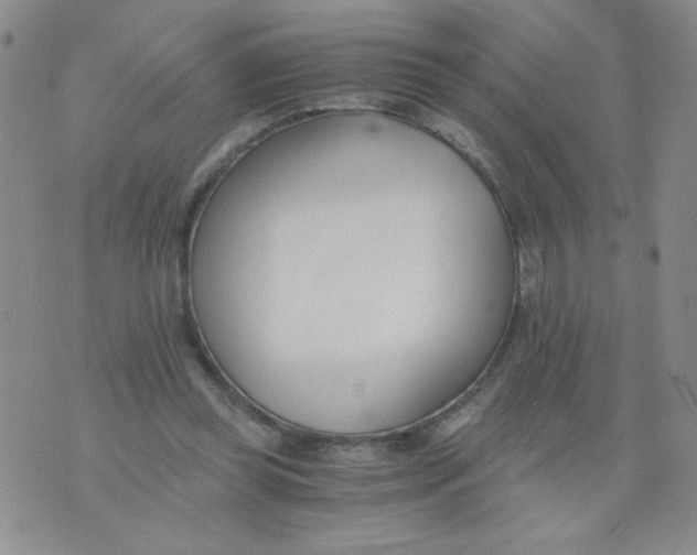 X0000073900349200609082153