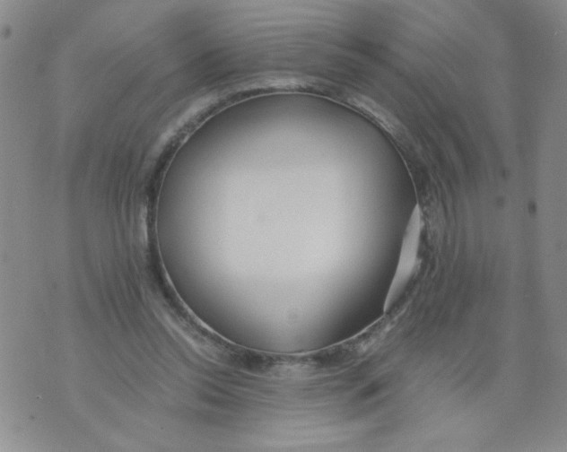 X0000073900350200609082153