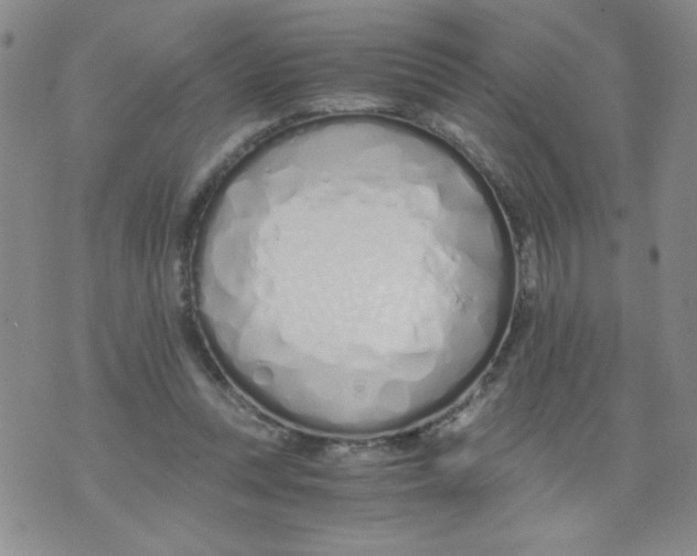 X0000073900351200609082153