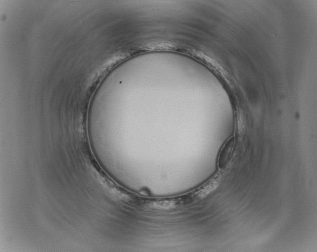 X0000073900353200609082153