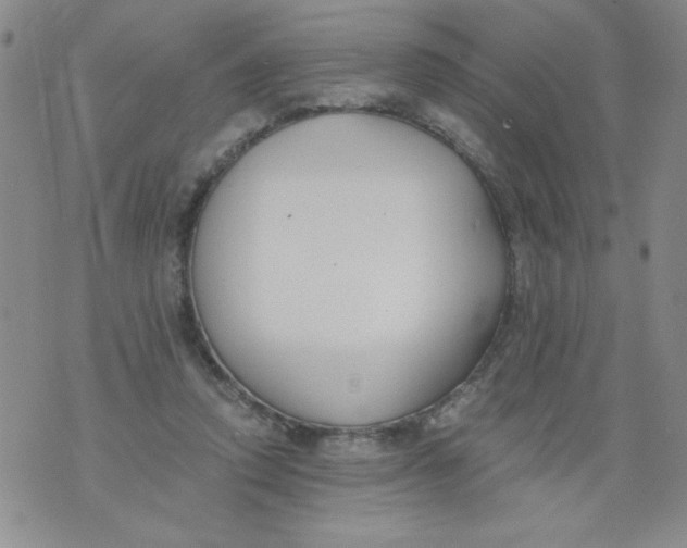 X0000073900354200609082153