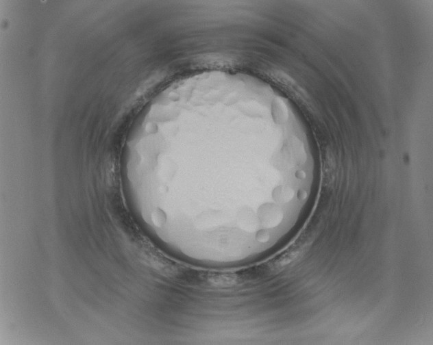 X0000073900355200609082153