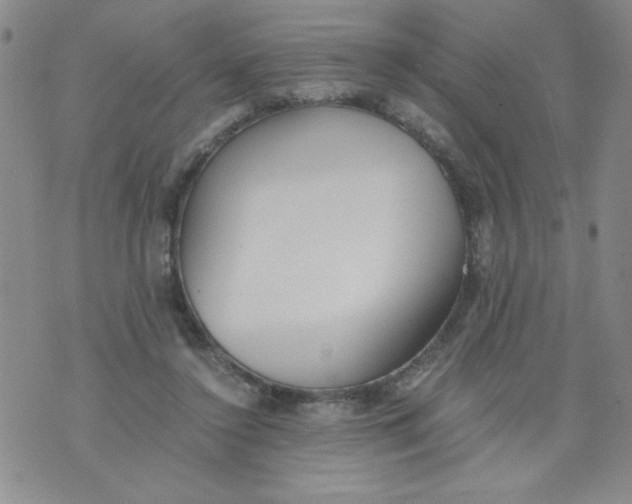 X0000073900356200609082153