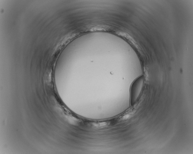 X0000073900357200609082153