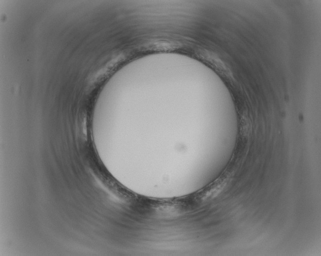 X0000073900358200609082153