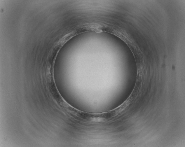 X0000073900360200609082153