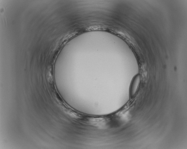 X0000073900361200609082153