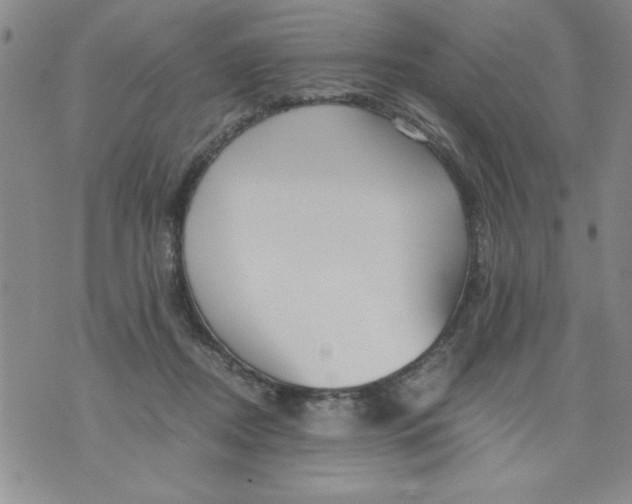 X0000073900362200609082153