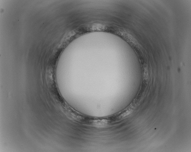 X0000073900363200609082153