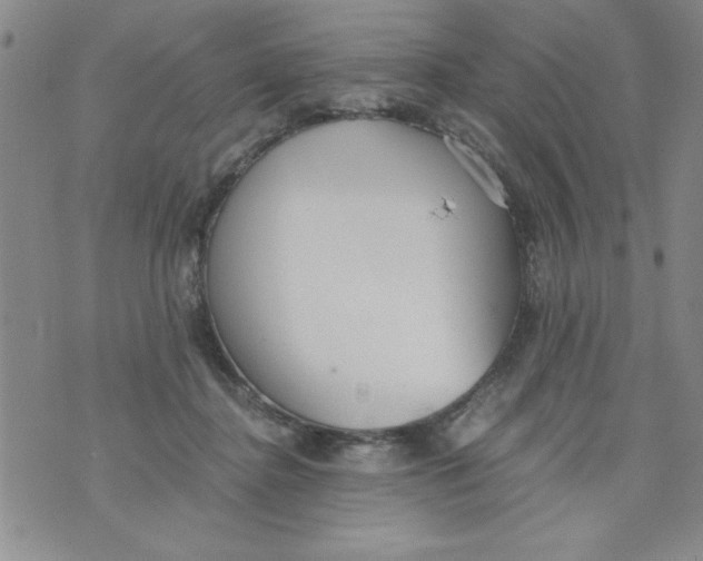 X0000073900364200609082153