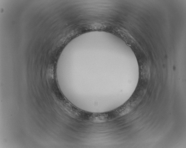 X0000073900368200609082154