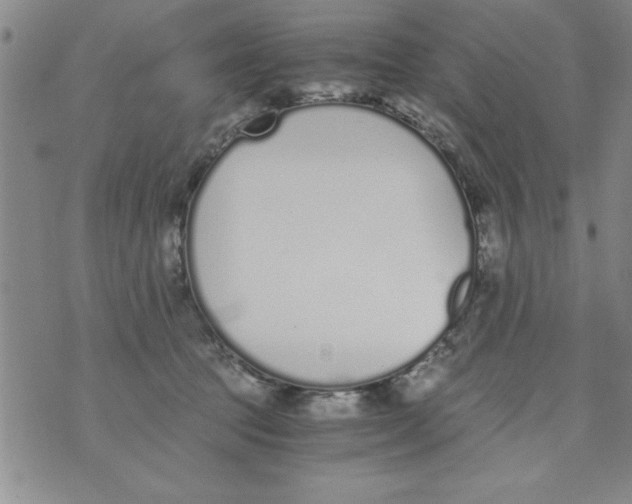 X0000073900369200609082154