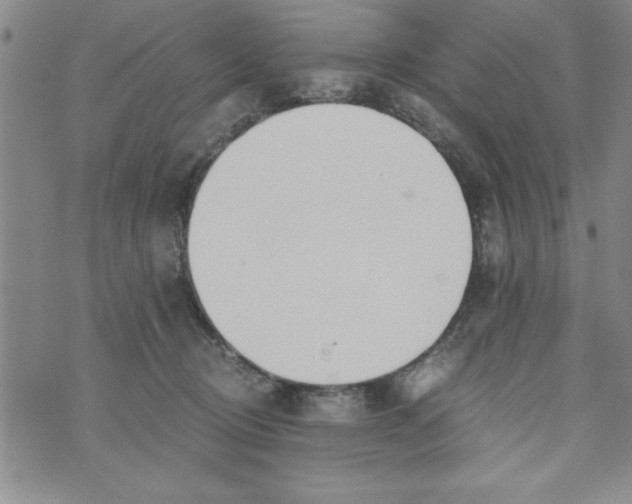 X0000073900370200609082154