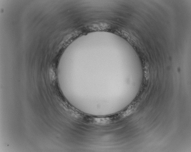 X0000073900371200609082154