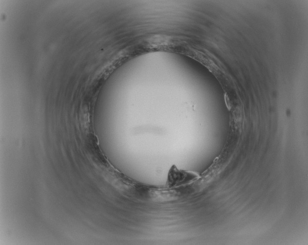 X0000073900372200609082154