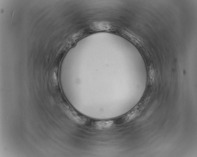 X0000073900373200609082154