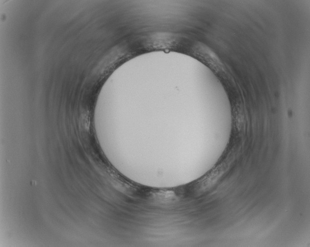 X0000073900374200609082154