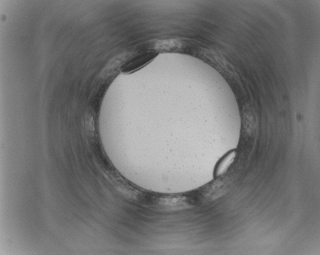 X0000073900375200609082154