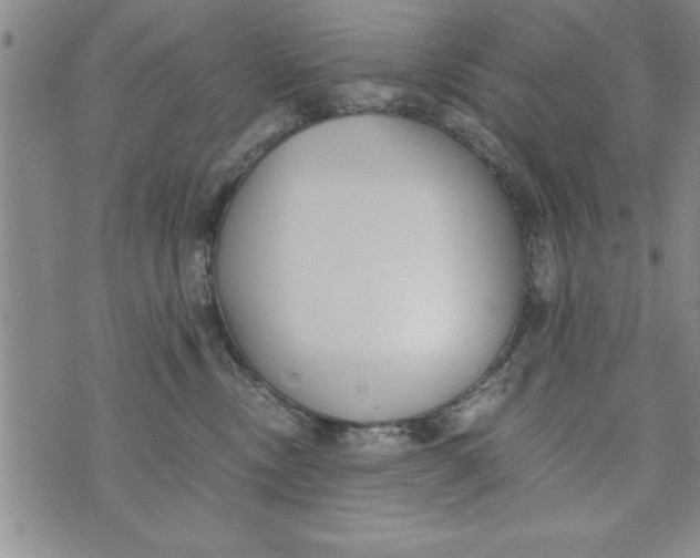 X0000073900378200609082154