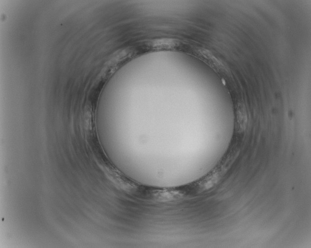 X0000073900379200609082154