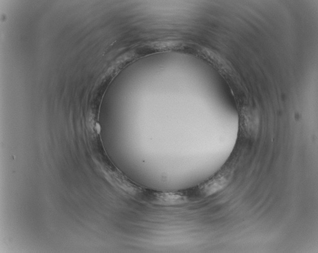 X0000073900380200609082154