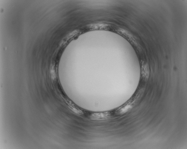 X0000073900381200609082154