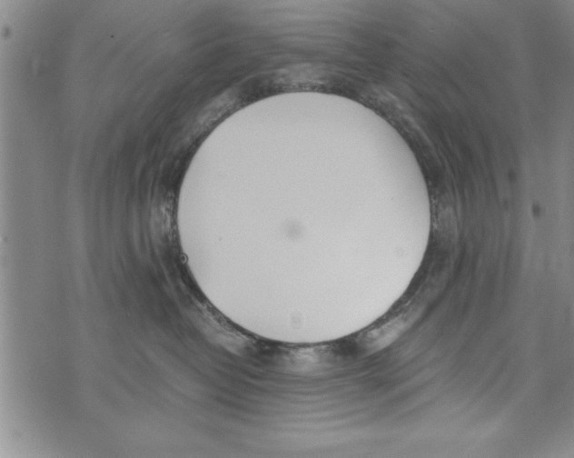 X0000073900382200609082154