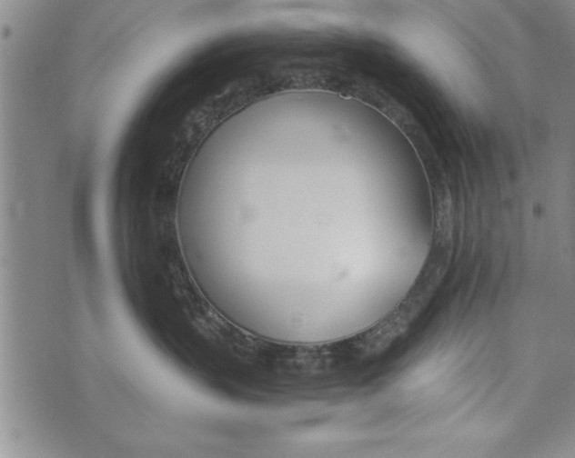 X0000073900383200609082154