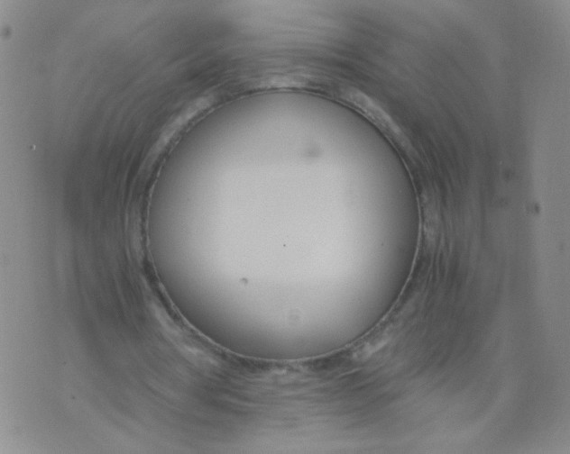 X0000073900386200609082153