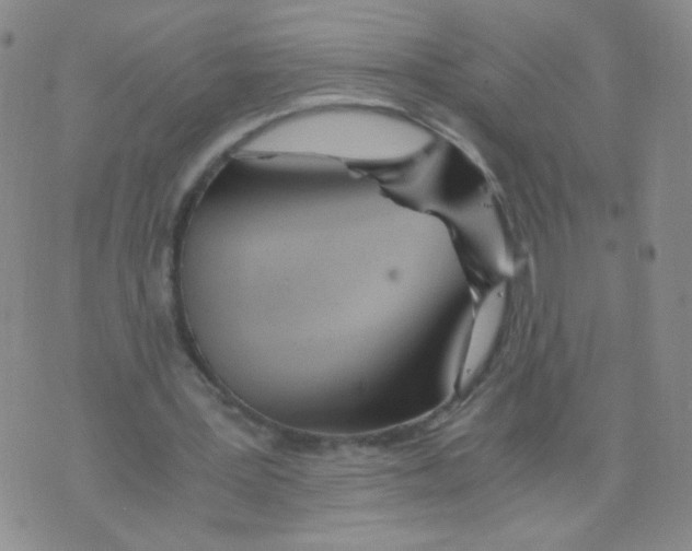 X0000073900387200609082153