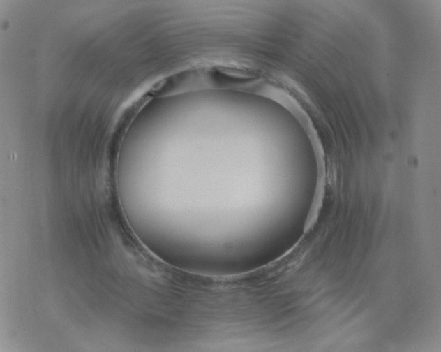 X0000073900388200609082153