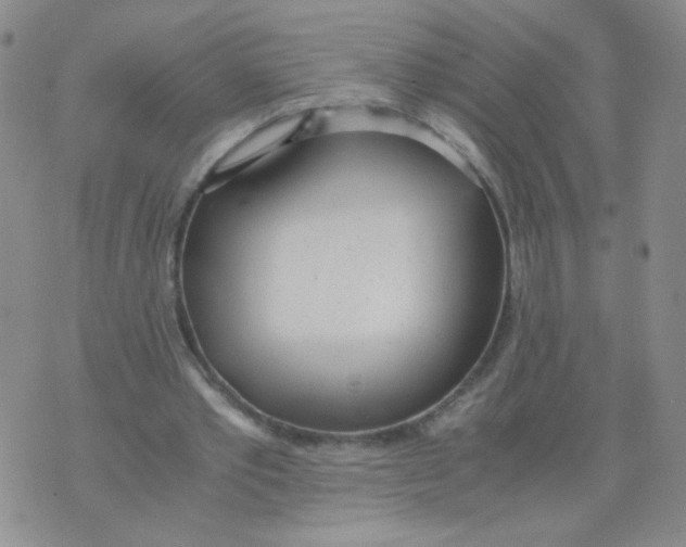 X0000073900389200609082153