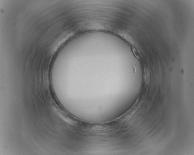 X0000073900390200609082153