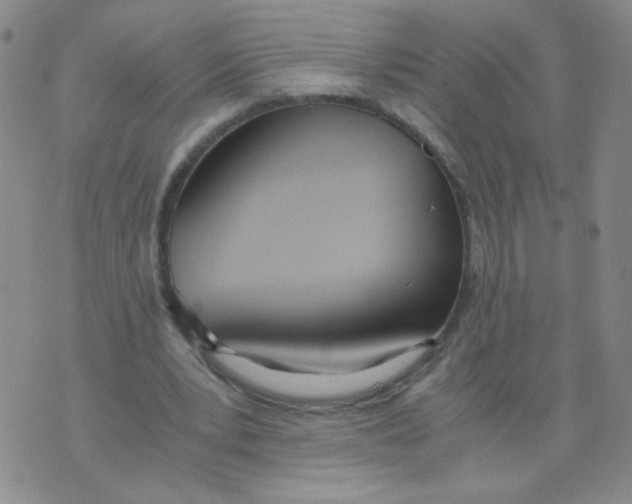 X0000073900391200609082153