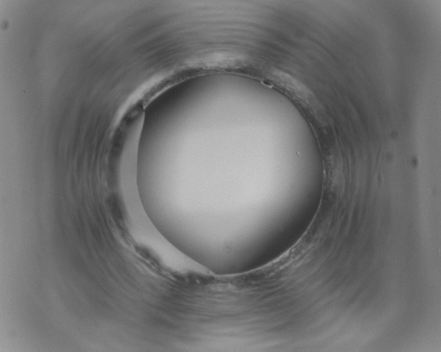 X0000073900392200609082153