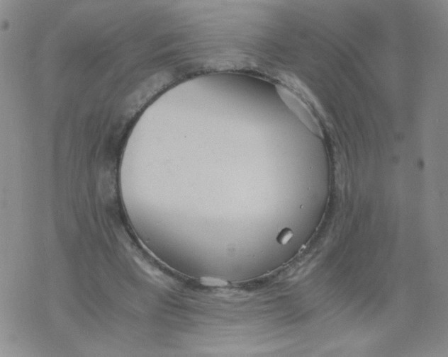 X0000073900393200609082153