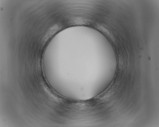 X0000073900394200609082153