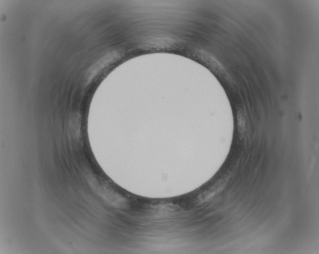 X0000073900396200609082153