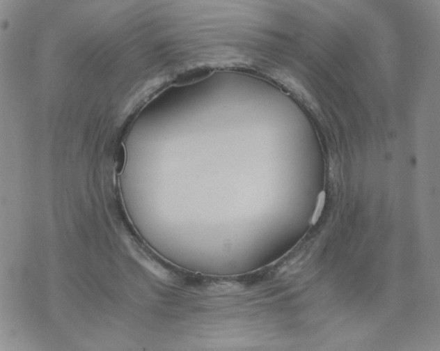 X0000073900397200609082153