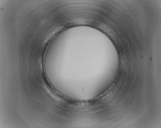 X0000073900398200609082153