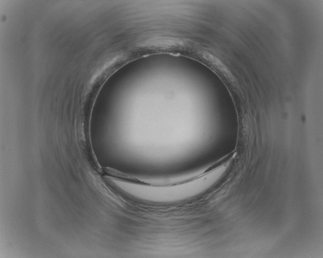 X0000073900399200609082153