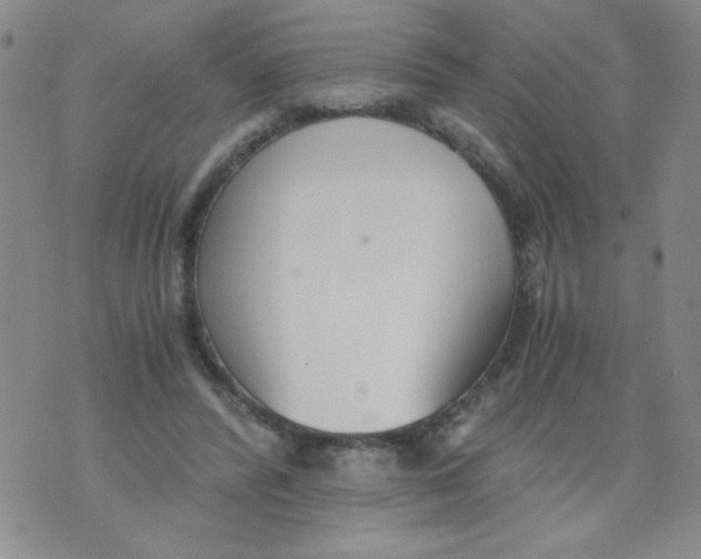 X0000073900400200609082153