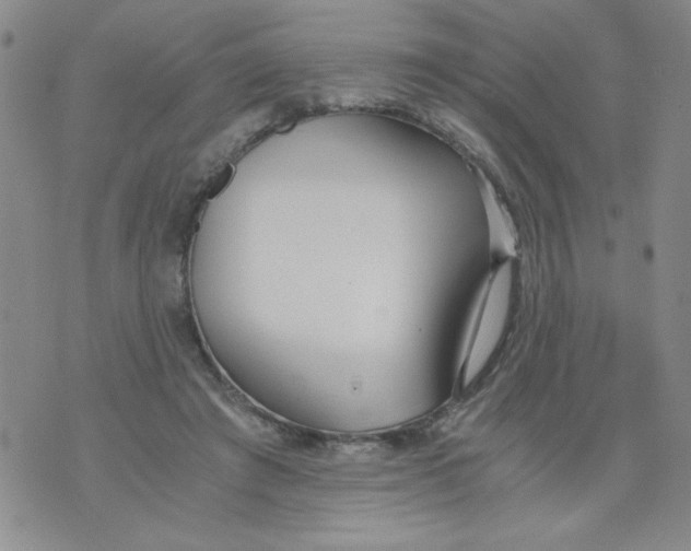 X0000073900401200609082153