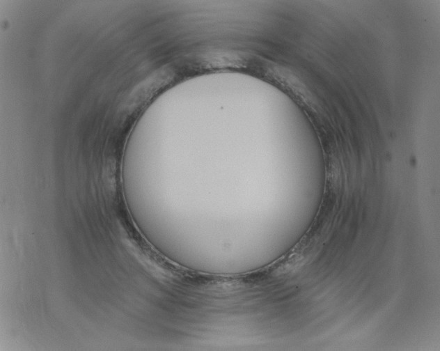 X0000073900402200609082153