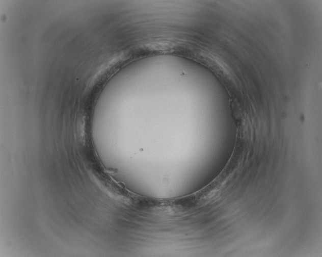 X0000073900404200609082153