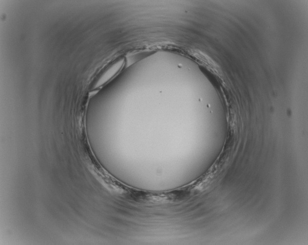 X0000073900405200609082153