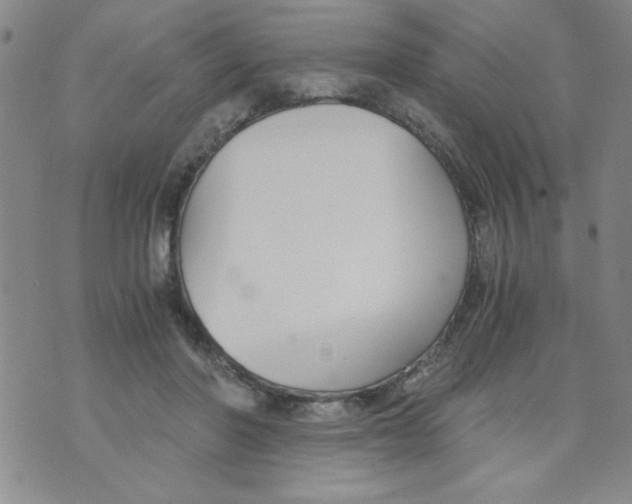 X0000073900406200609082153