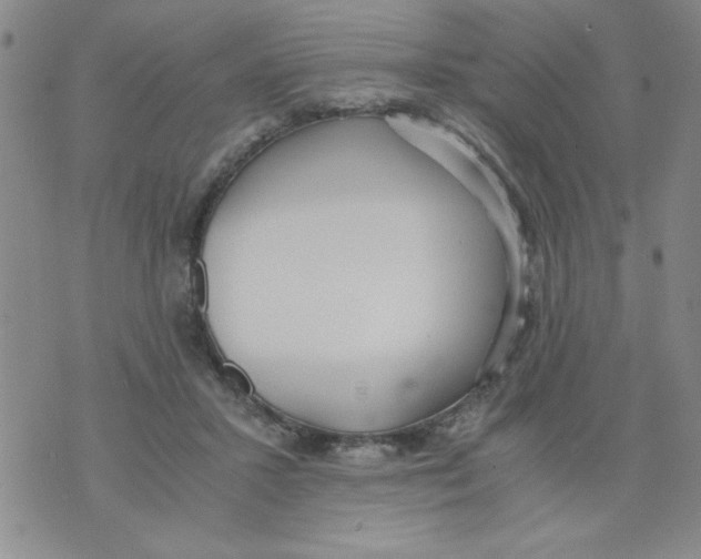 X0000073900407200609082153