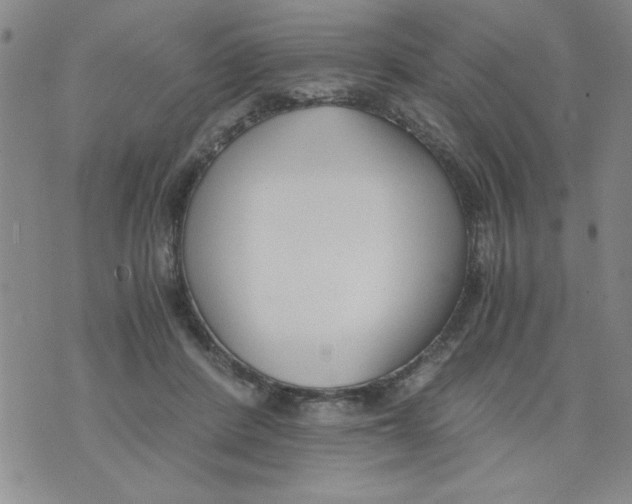 X0000073900408200609082153